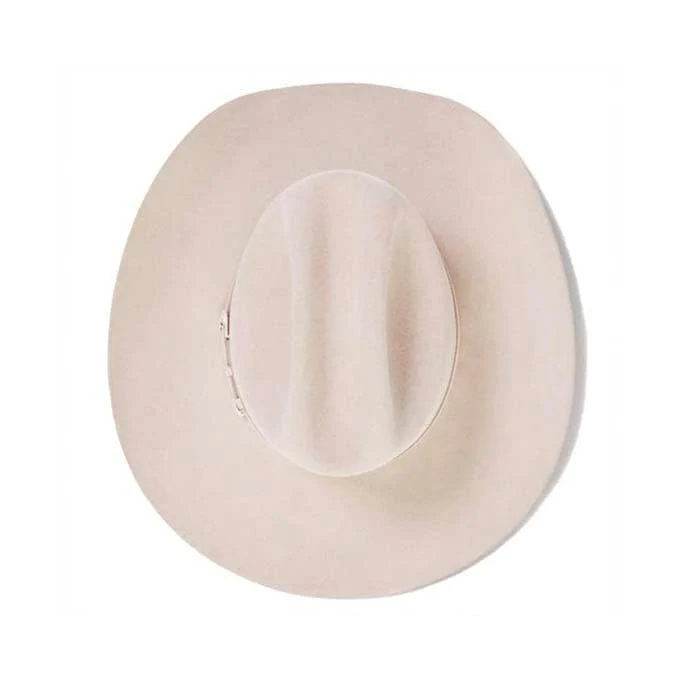 Texana Stetson 10x Shasta Silverbelly - Image 3